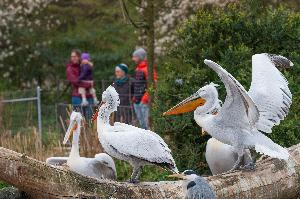 Stabile Besucherzahlen nach Jubiläum